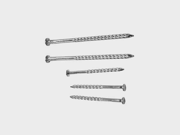 Different sizes of galvanized screw nails