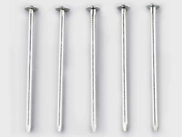 Galvanized box nails in different sizes