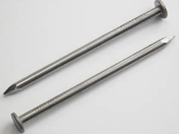 Galvanized common nails
