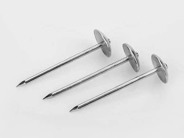 Roofing nail without washer